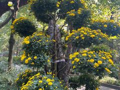 -杭州植物园