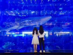 -成都浩海立方海洋公园