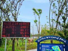 -溱湖国家湿地公园