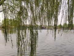 -石家庄市植物园
