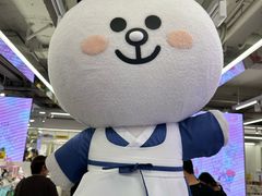 -line friends(明洞旗舰店)
