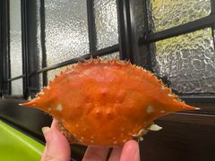 -禾斗海鲜自助(市南银座店)