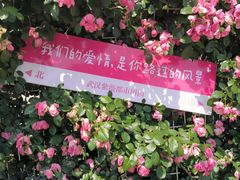 -武汉紫薇都市田园