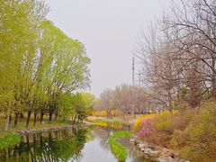 -大望京公园