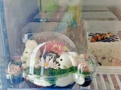 -DQ·蛋糕·冰淇淋(金牛万达店)
