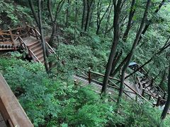 -大岭沟猕猴桃谷风景区
