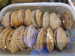 -大树头·花园餐厅(市桥店)