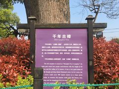-韩湘水博园