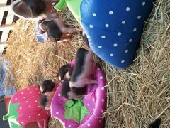 android_upload_pic-万达广场(南京江宁店)