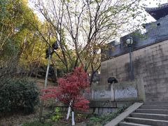 -峙山公园