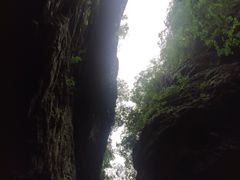 -牛背梁国家森林公园