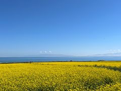 -青海湖国家重点风景名胜区