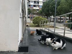 -上海海事大学(临港校区)