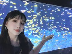 -成都浩海立方海洋公园