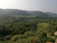 -塞罕坝国家级自然保护区