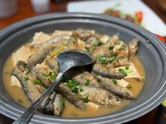 溪鱼焖豆腐-鹭岛新泉客家菜·海鲜·融合菜(莲前店)