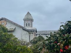 -涉地可支