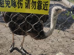 -呼兰河口湿地公园