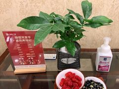 -旺顺阁海鲜广场(亚运村店)