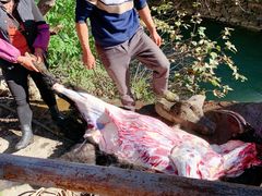 -叠溪松坪沟景区