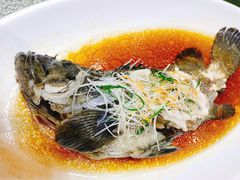 清蒸东星斑-頂好酒家·经典粤菜(海信广场店)
