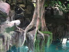 -福州罗源湾海洋世界旅游区