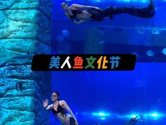 景点-正佳极地海洋世界