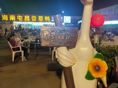 -盐禾堂海南屯昌香草鸭(总店)