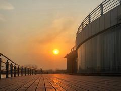 -大兴滨河森林公园