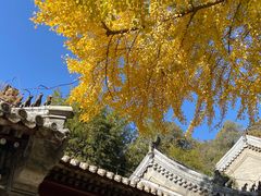 -潭柘寺景区