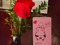 -弦月窗LUNETTE BY AMANDA(复兴路店)