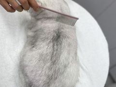 -comecome来吧宠物(奥克斯中心店)