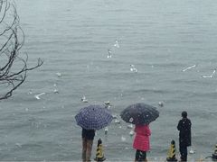 iphone_upload_pic-大理无舍度假酒店