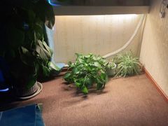 -怡心阁·水疗SPA(天府广场店)