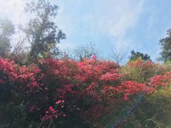 -木兰云雾山