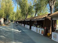 -青龙湖公园