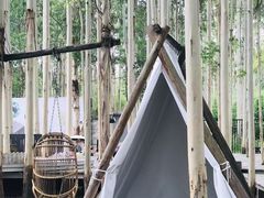 -桉树林A coffee 森林餐厅(三圣乡店)