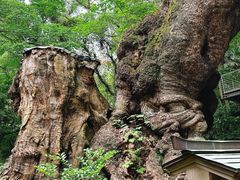 -来宫神社