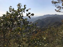 -天女山森林公园