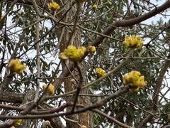 -溪口-滕头旅游景区