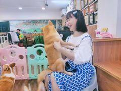 -柯斗斗主题餐厅·狗咖·围炉煮茶·茶饮(国瑞升平里店)