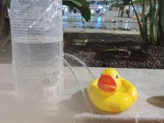 -龙脉温泉室内游泳馆