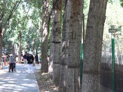 -回龙观体育文化公园