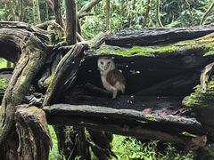 -普洱太阳河森林公园