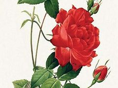 -贵阳市花溪国家城市湿地公园