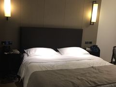 -成都峨眉雪芽大酒店