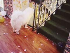 -红河谷晴天别墅轰趴馆