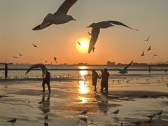 -老虎石海上公园