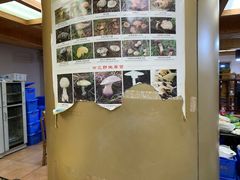 -东巴谷野生菌火锅餐厅