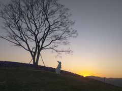-黄贤森林公园